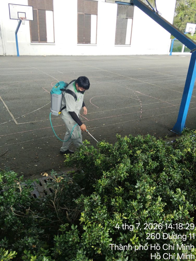 Xử lý vành đai cây xanh quanh nhà máy