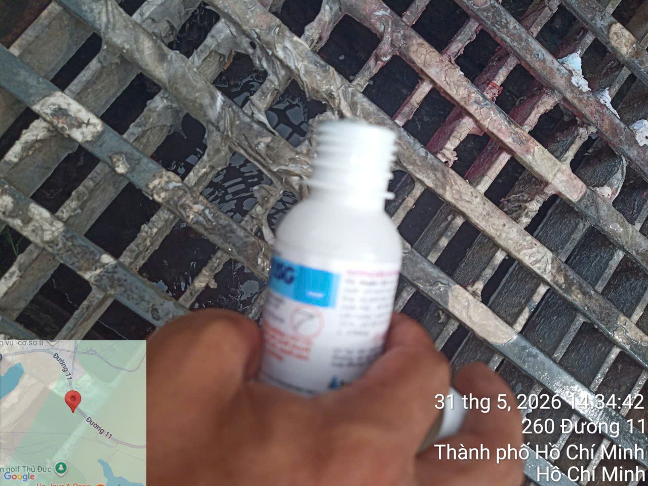 Cloramin B có độc không?