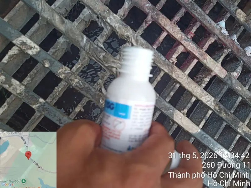 Kỹ thuật viên cầm chai hoá chất trước nắp cống
