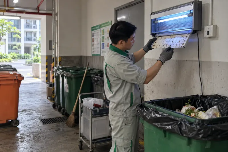 Kỹ thuật viên kiểm tra tấm keo đèn bắt ruồi ở khu rác chung cư