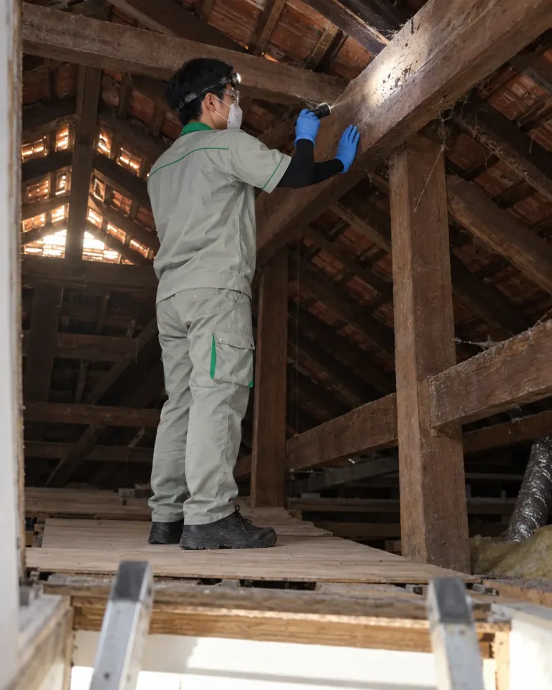 Kỹ thuật viên soi đèn kiểm tra dấu vết trên xà gỗ gác mái nhà phố