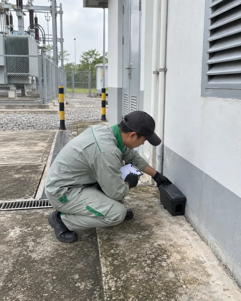 Kỹ thuật viên đặt trạm bả chuột cạnh cửa trạm điện phụ khu công nghiệp