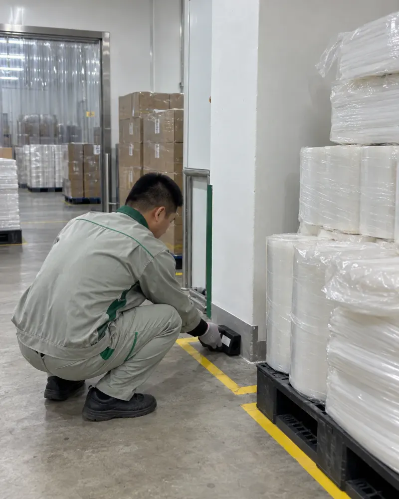 Kỹ thuật viên đặt bẫy giám sát ở góc kho bao bì sạch nhà máy thực phẩm