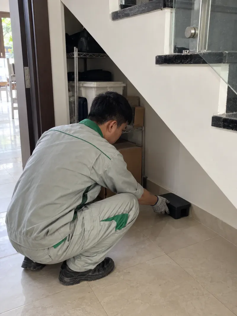 Kỹ thuật viên đặt bẫy giám sát ở kho gầm cầu thang nhà ở