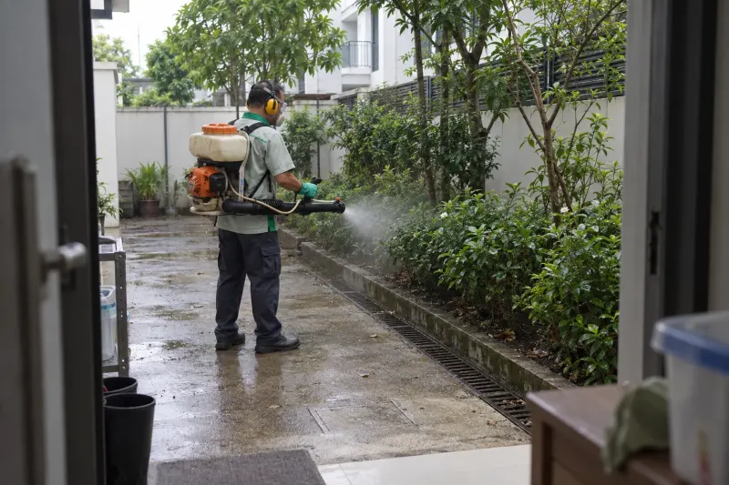 Kỹ thuật viên phun sương diệt muỗi sân sau nhà có cây xanh