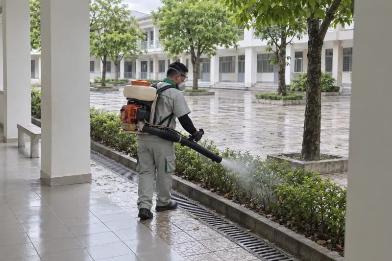 Kỹ thuật viên phun sương ngoài giờ ở sân trường có cây xanh