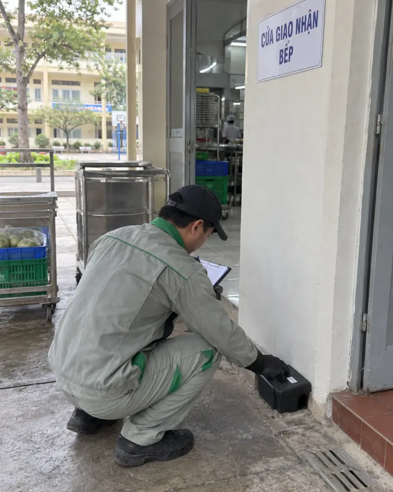 Kỹ thuật viên đặt trạm bả chuột cạnh cửa giao nhận bếp trường học