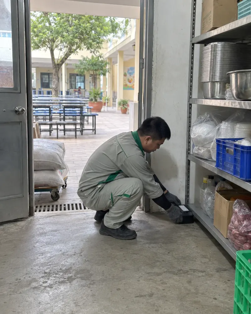 Kỹ thuật viên đặt bẫy giám sát ở góc kho căn tin trường học