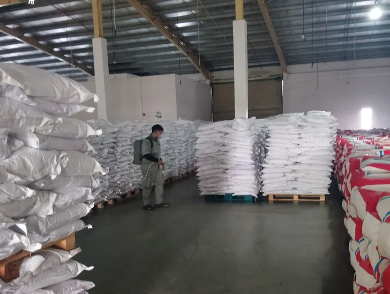 Lối đi chừa giữa các dãy hàng bao xếp cao trên pallet, kỹ thuật viên phun ở cuối dãy