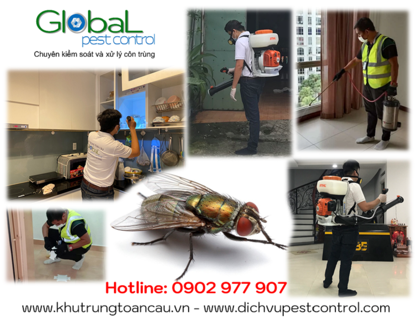 dịch vụ kiểm soát, xử lý, diệt ruồi, pest control