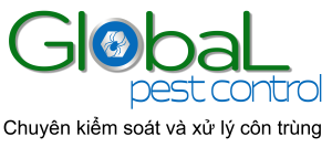 Công ty dịch vụ diệt côn trùng giá rẻ, uy tín và hiệu quả