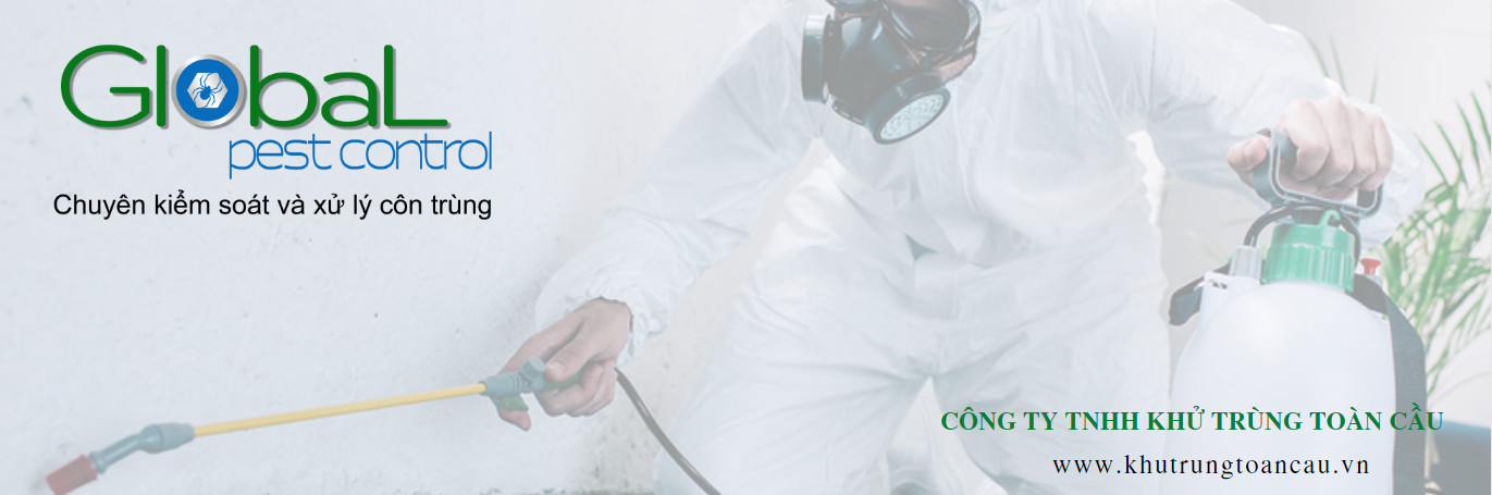 Pest Control - Dịch vụ xử lý côn trùng chuyên nghiệp